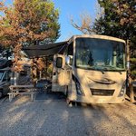 Branson shenanigans rv park