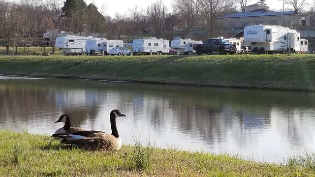Cape Camping & RV Park