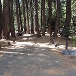 Indian springs campground