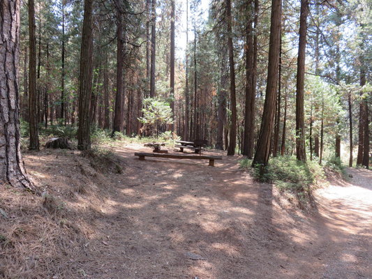 Jerseydale Campground photo 2