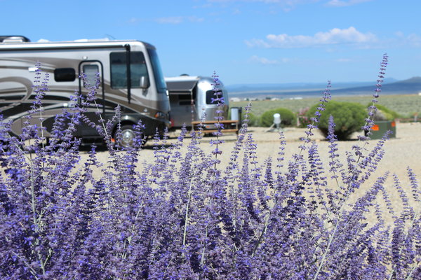Taos Monte Bello RV Park photo 2
