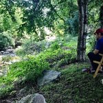 Grandfather mountain campground