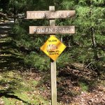 Ash grove mountain cabins camping