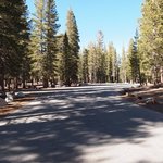 Lake mary