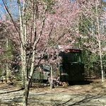 Lazy j campground