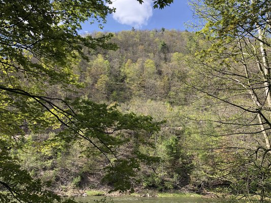 Pettecote Junction Campground photo 2