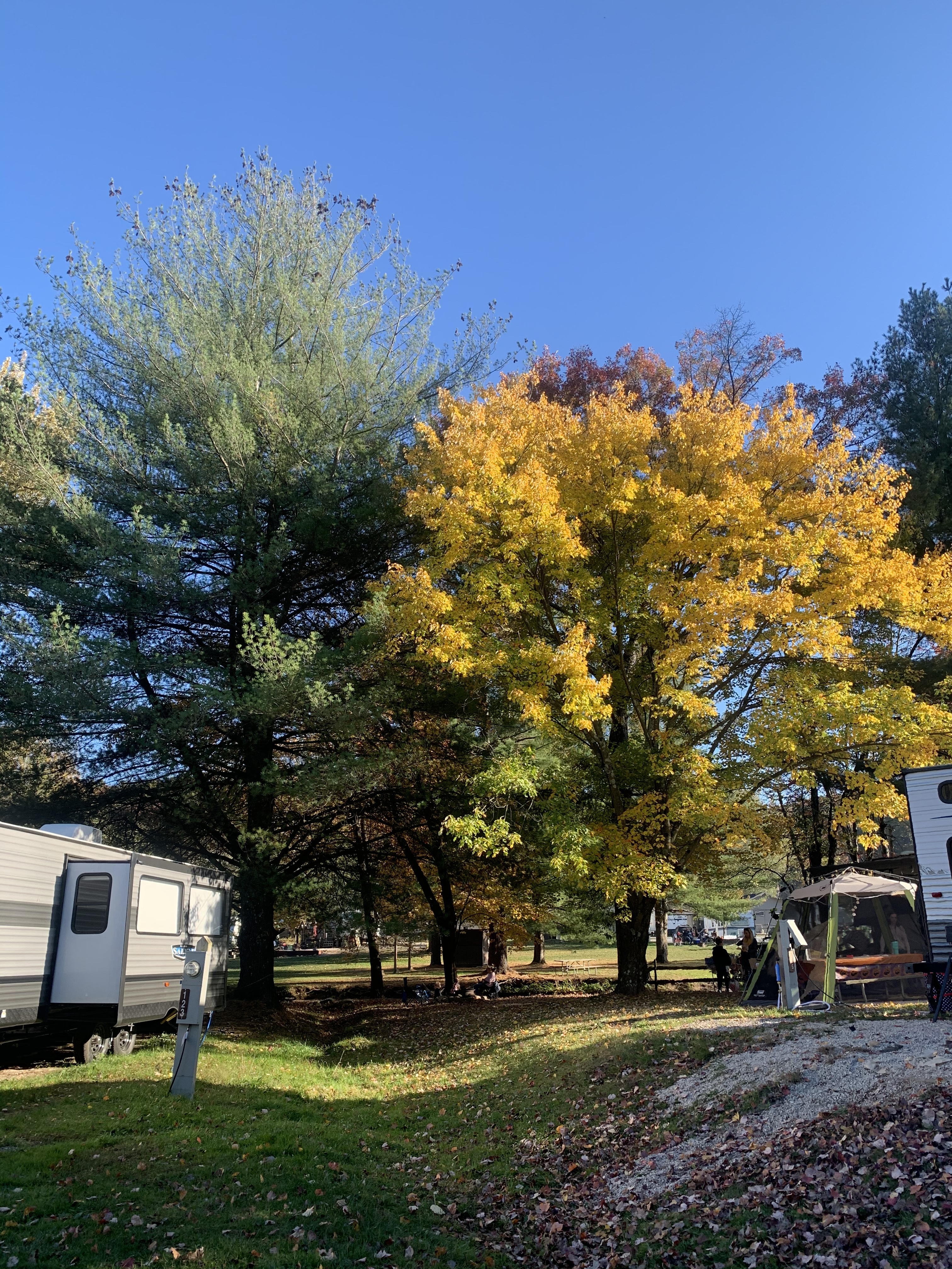 Mountain Creek Camp Ground