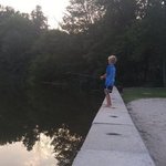 Mountain springs camping rsrt