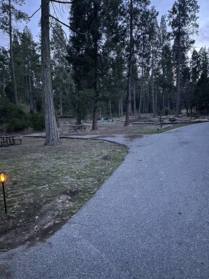 Lupine & Cedar Bluff Campground photo 2