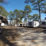 Pine acres campground
