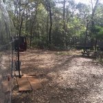 Tuck In The Wood Campground Reviews Campendium