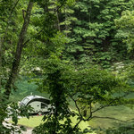 Watauga dam campground