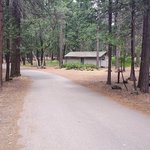 Mcarthur burney falls memorial state park
