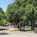 Treetops rv resort
