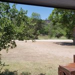 Barefoot camp and rv park