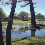 By the river rv campground