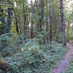 Champoeg state park