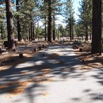New shady rest campground