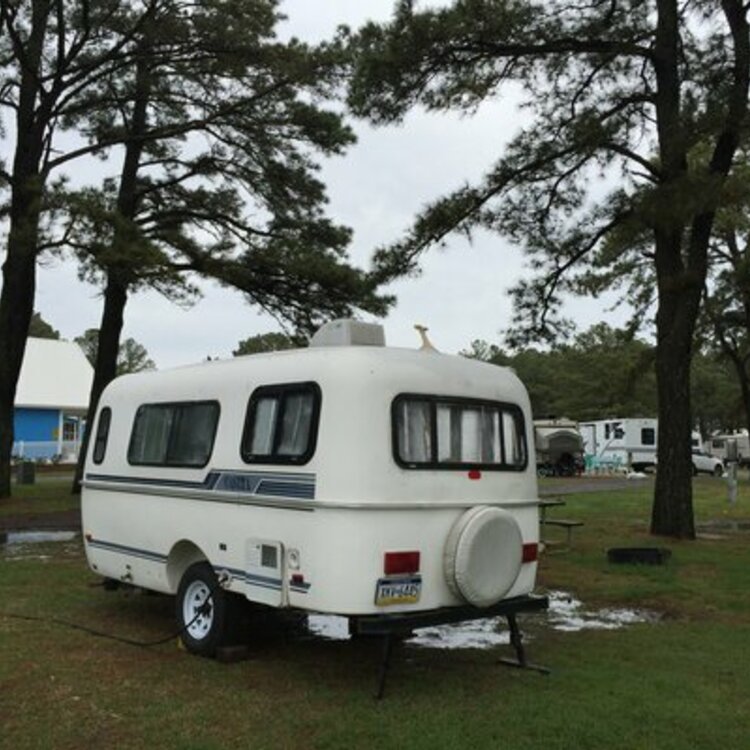 Yogi Bear’s Jellystone Park Camp-Resort: Chincoteague Island