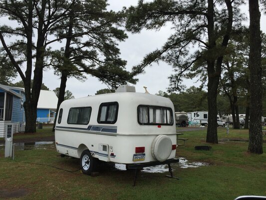 Yogi Bear’s Jellystone Park Camp-Resort: Chincoteague Island photo 2