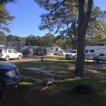 Chincoteague island koa