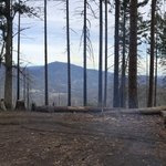 Old mill campground stonyford