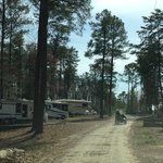 R and d family campground