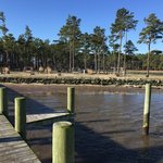 Tall pines harbor waterfront campground