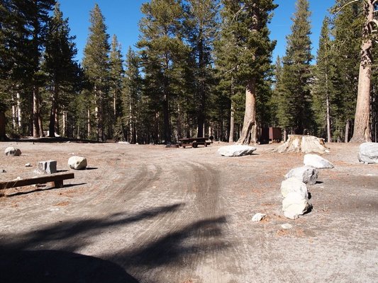 Pine City Campground photo 2