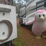 Lake george campsite