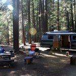 Pipi campground