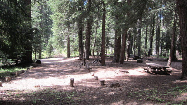 Daley Creek Campground photo 2
