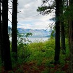 North canyon campground san juan nf