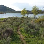Vega state park