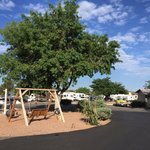 Albuquerque koa