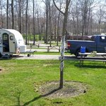 Dayton koa