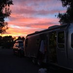 Barstow calico koa