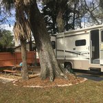 Daytonas endless summer campground
