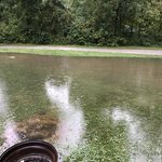 Indianapolis koa