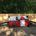 Terre haute koa