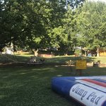 Newton koa