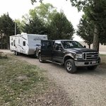 Salina koa