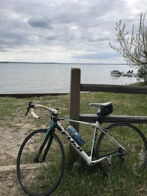 Higgins Lake-Roscommon KOA