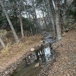 Reyes creek campground