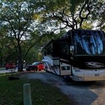 Wilmington koa