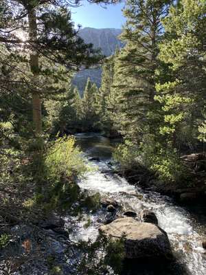 Rock Creek Lake Campground