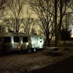Nashville koa