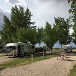 Fillmore koa