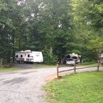 Charlottesville koa