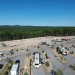 Naples koa